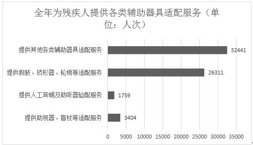 图为全年为残疾人提供各类辅助器具设配服务统计图